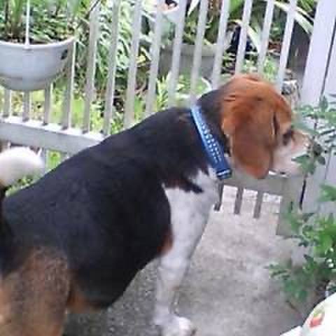 0adbadfc 6e84 4d56 b1b9 8e385044d63d 1727654035446