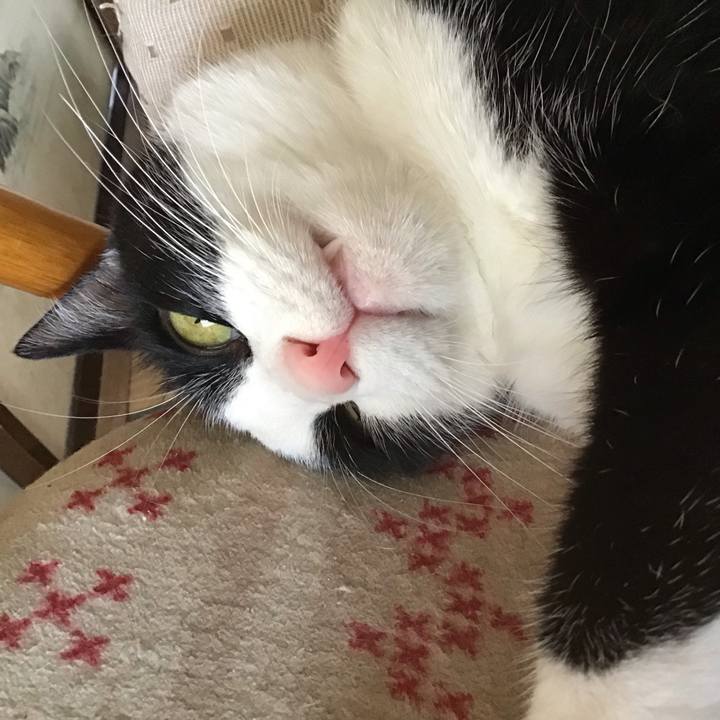 0adbf31b 5014 426f 9387 6a5e37af833b 1751456683084