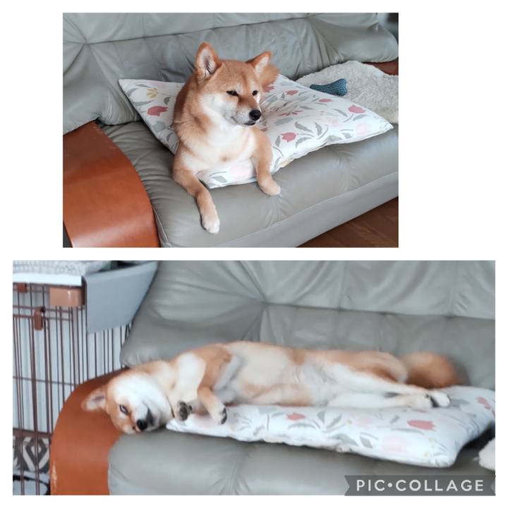 0adbf371 7408 46cf 85c3 b84a2c718b13 1683700861980