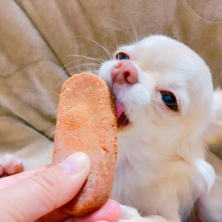 0adbfe64 bc7e 4ff8 976d dd5cc456bd11 1608970062845