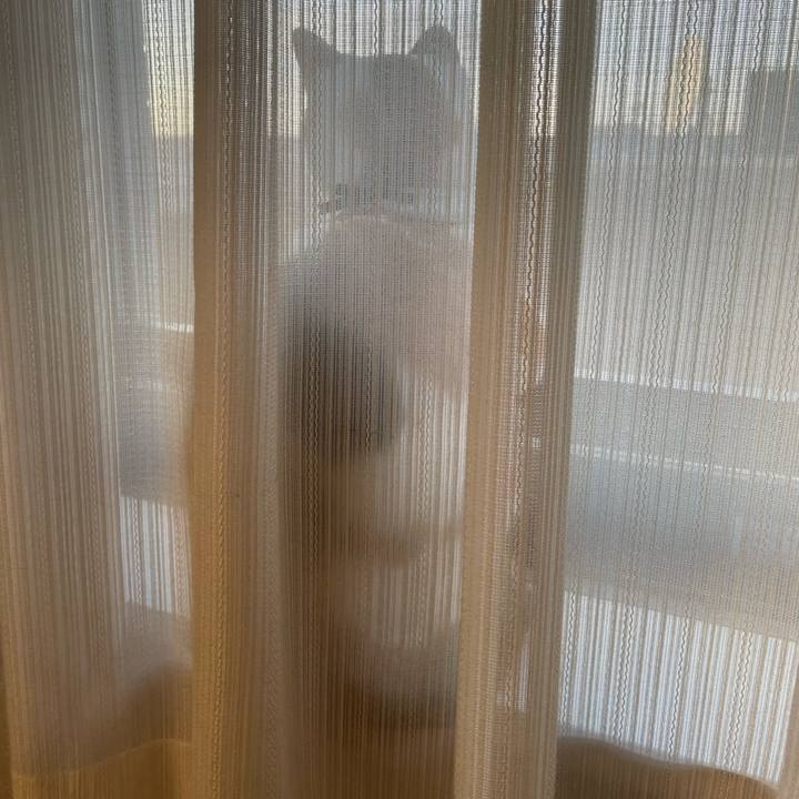 0adc2012 0b52 42ef 9524 094ca6c94a3d 1663817976717