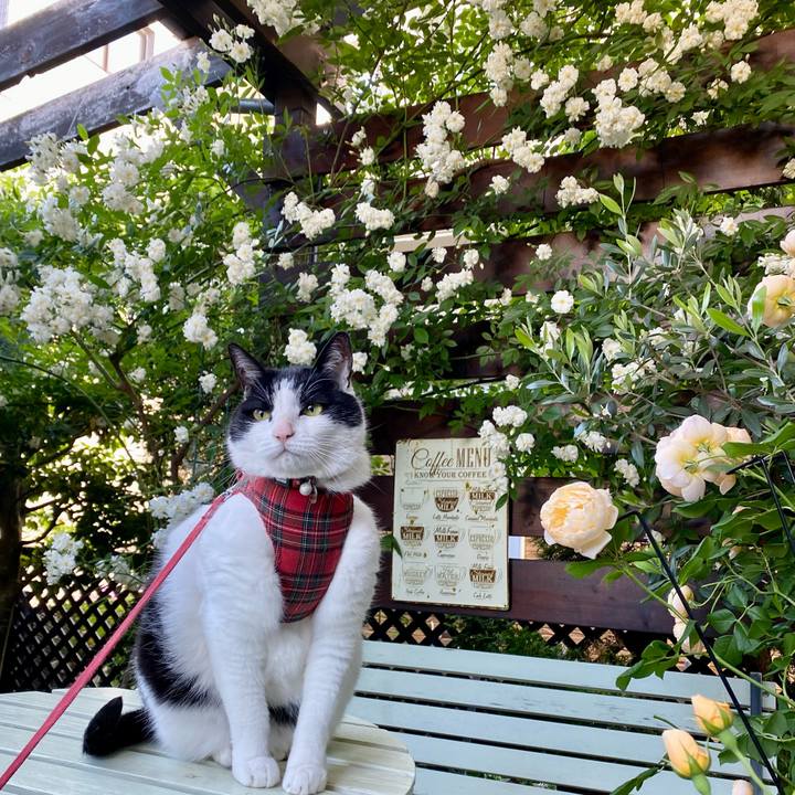 0adc2982 109c 4ed5 8821 24c5a0af72bb 1716282124475