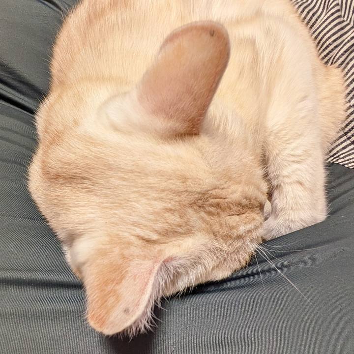 0adc5b21 a468 4606 a69d 9efa8a949817 1705486287380