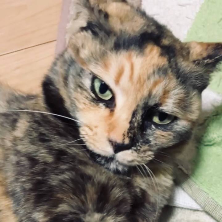 0adc853d 3840 4303 aa44 9ffe534eaf45 1741203421002