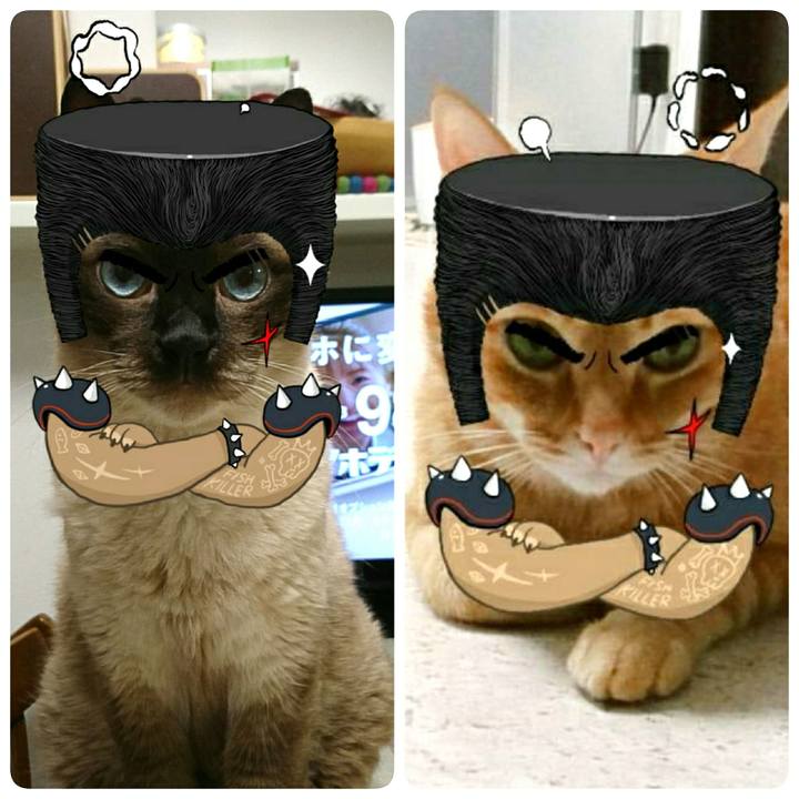 0adc8d92 f4c9 4691 9f9b 34917df93756 1562280276840