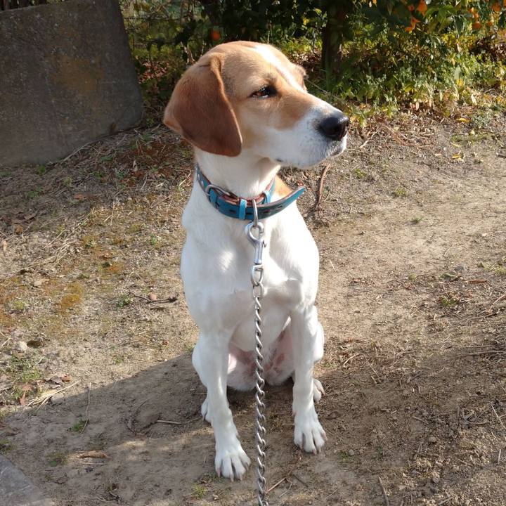 0adca58b 1a26 416c 935c f54d92148290 1607604961600