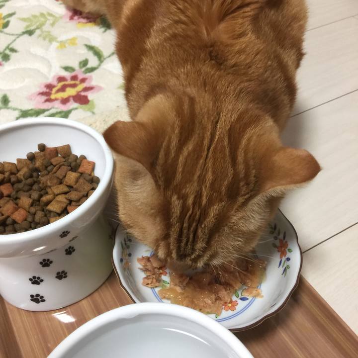 0adcb854 96c9 4dc4 8247 fe7f12d347f1 1576976468744