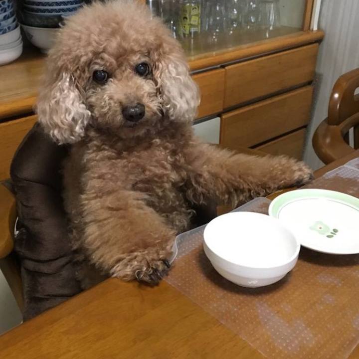 0adcc6fa bcaa 4c03 b925 8ce3da35c1b4 1552666354183