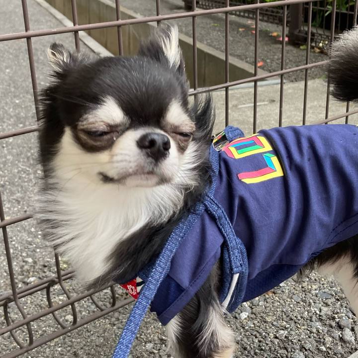 0add19d4 5ef4 4c19 a392 acf8f3bba54a 1620191594896