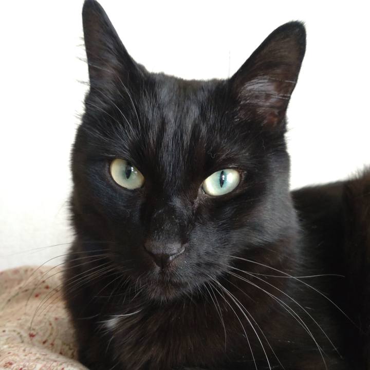 0add4087 5f7c 4079 bb89 a9b62c15ab29 1682846530315