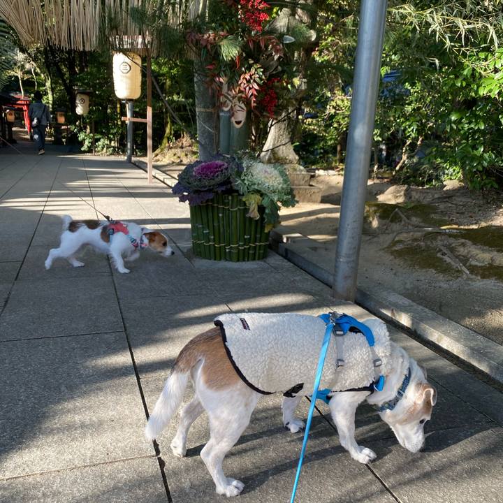 0add47b0 fcd5 4b9f a019 52fc06fa291a 1704171704355