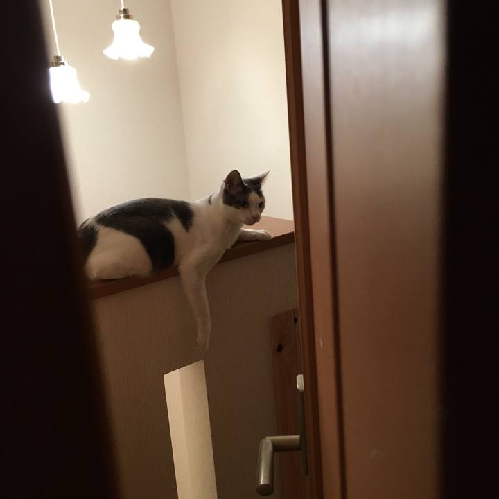 0add6420 601c 44ca 8c57 1c0b83a36620 1507794170392