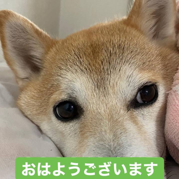 0add760f 5c9d 43ff b038 9aae9e13bd71 1741729284160