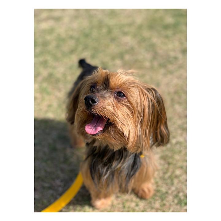 0add78c7 ce78 4988 98cd c2516a67d516 1556780638416