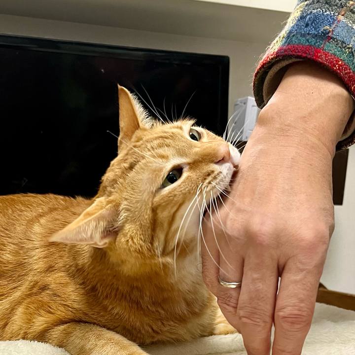 0add78e1 4e92 4a4a b114 a590ff8dfae8 1641418921718