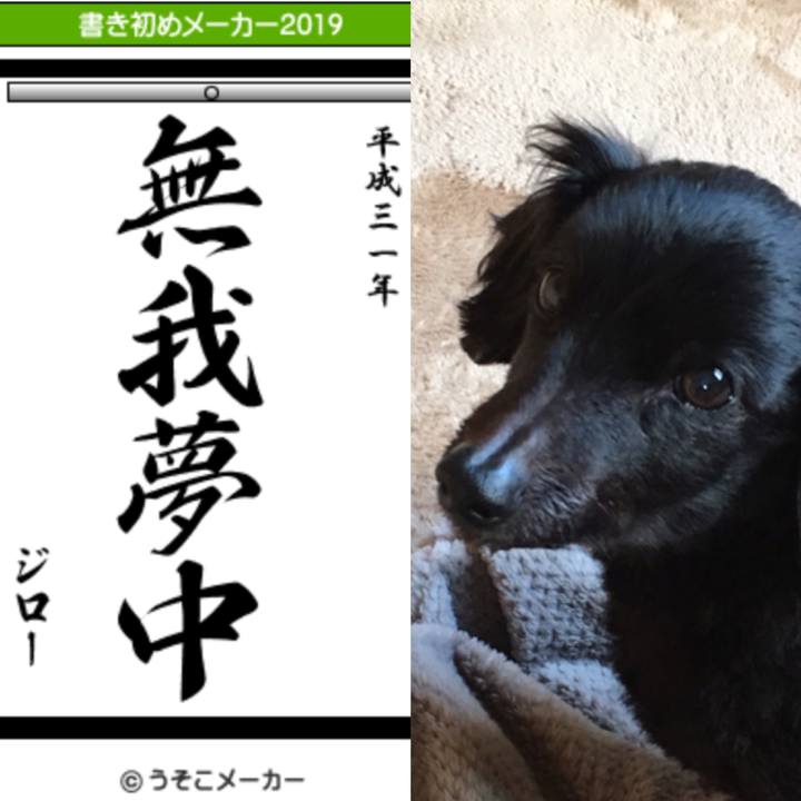 0addfd10 14d8 4721 8563 8f68abe901de 1546384630057