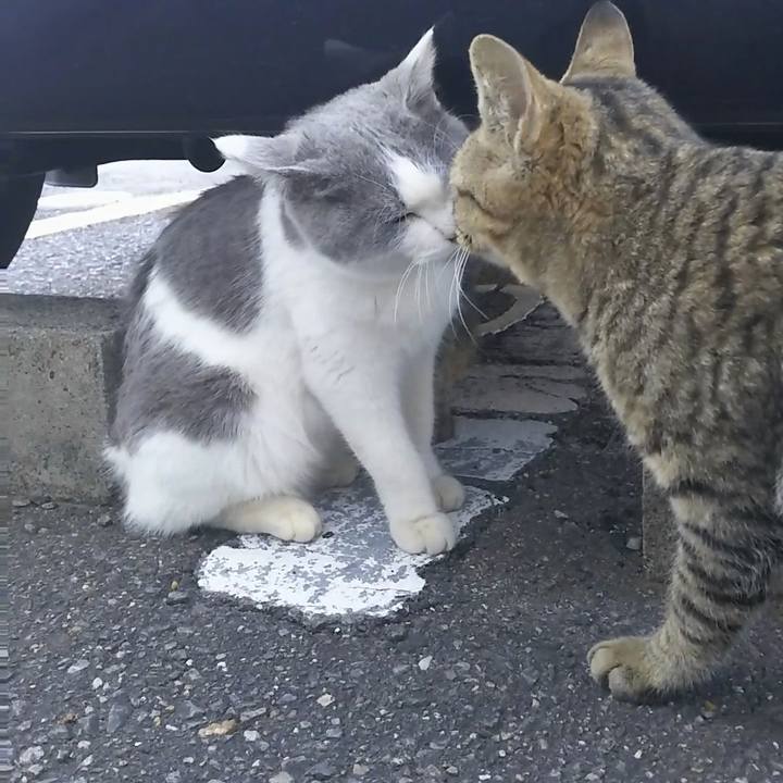 0addfe99 d325 4885 b8b6 e7b9ee82396c 1512290352477