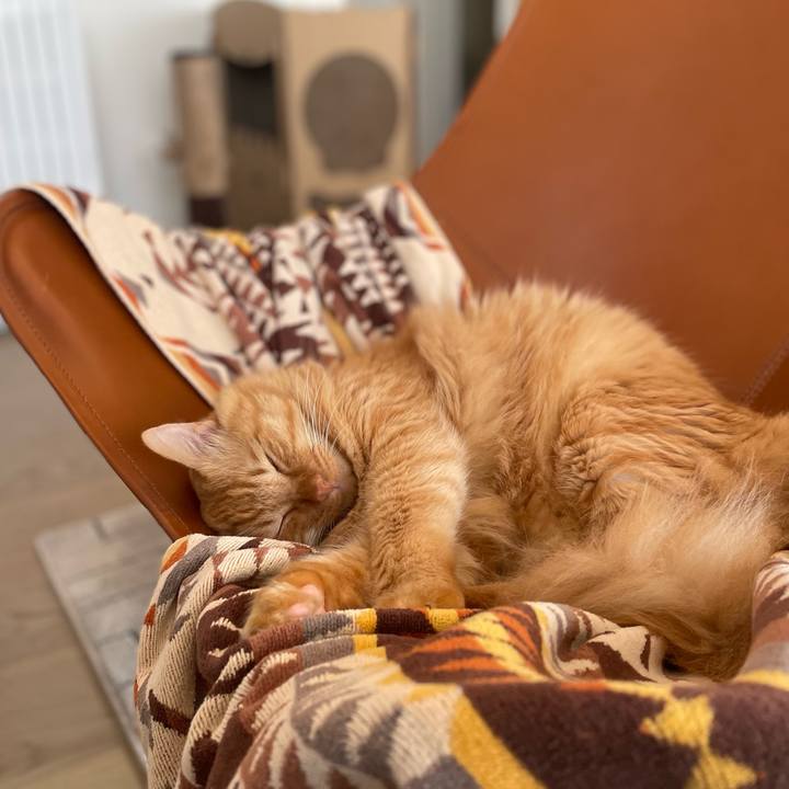 0ade4cb0 9aca 4a2b ae33 1d2e8d2ab282 1765076884290