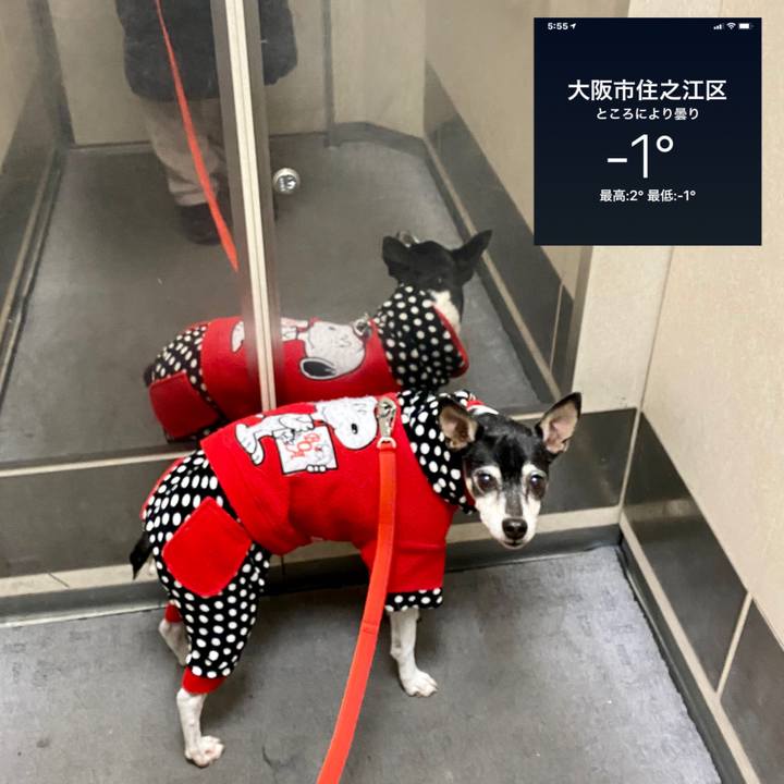 0aded6c4 9166 4bd5 8aaa ae00090027aa 1610058492712