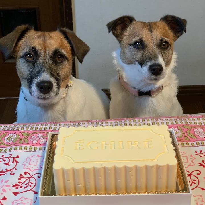 0adf03d5 2f2e 4a74 9c5f 5762a5047020 1578667157513