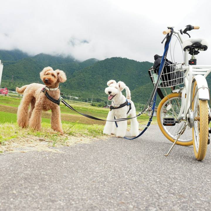 0adf1c73 a43f 40d1 9274 cbcceb5a6d20 1528774322886