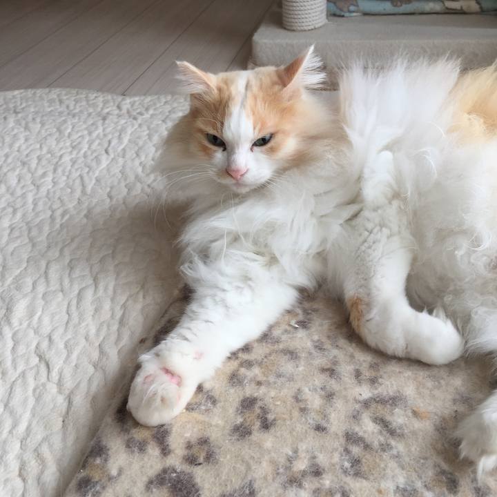 0adf6e84 6883 4f16 bc97 f00c596602c2 1521409822916