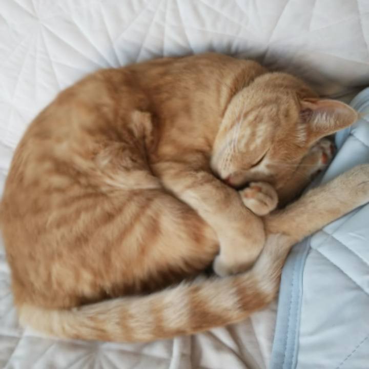 0adf8556 6d86 4a60 97ae b873e9b83047 1567926989462