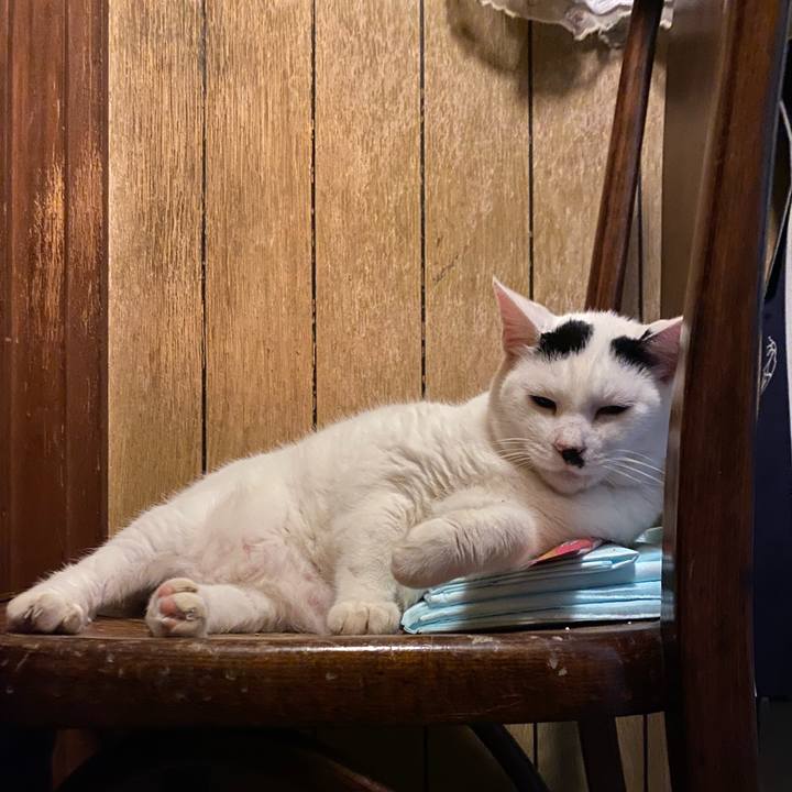 0adf889d 3ac2 4023 95b3 49d3aa3ea28c 1663593191934