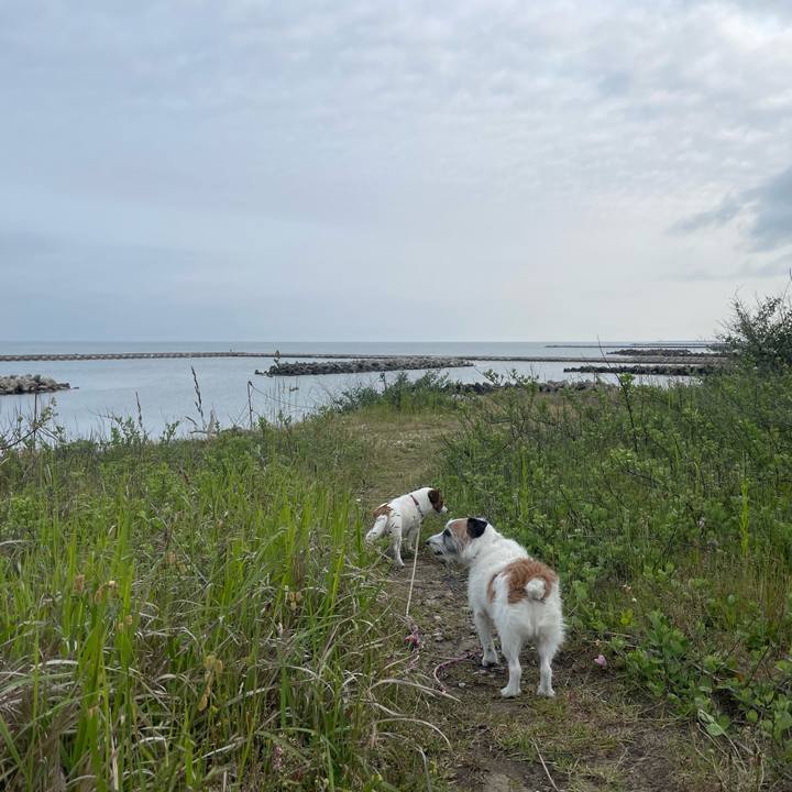 0adf9803 0989 47cc b96e 9ad4fc66e7f9 1748823989202