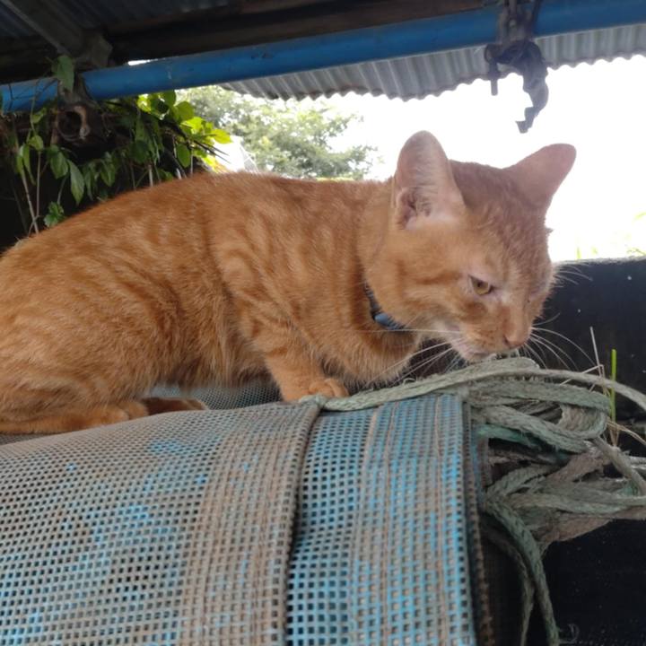 0adffc9a 8353 4d97 901b 5a8db5bef4e1 1757635106577