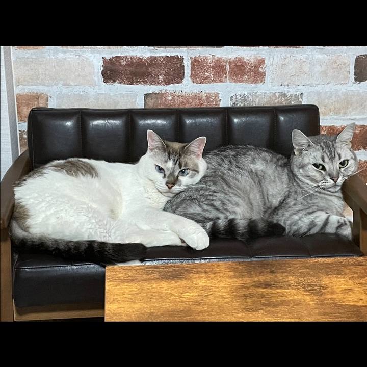 0adffc9a 8ce1 4225 b96f 58a93bb4ab37 1722603094959