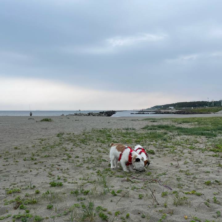 0ae006f6 ee96 474f b22f a4d49c735ba0 1655682629828