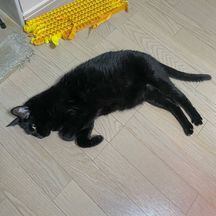 0ae0373f e537 4c5f 9351 e3bc8d7b6af8 1740312090355