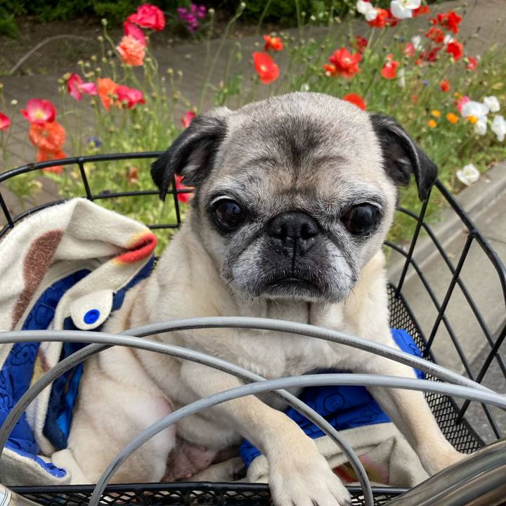 0ae049a0 71c5 4ad1 9cfc e5d976949bad 1625277839638