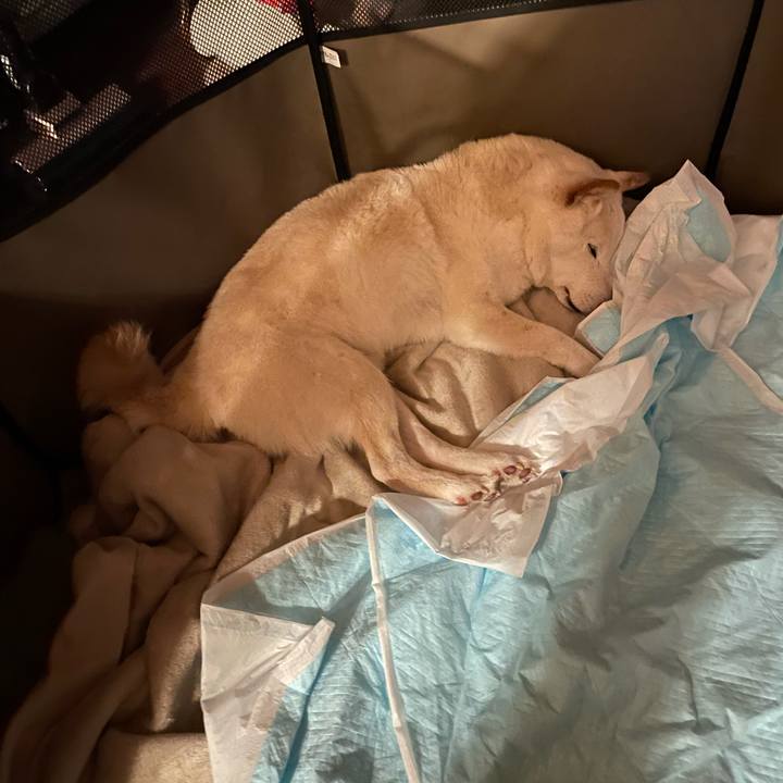 0ae077ec d499 4d3d b3be d22f0a521e22 1642896882148