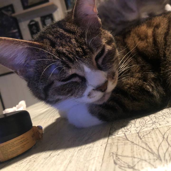 0ae07b8f 3bba 4dfb 8de4 f2bc4c0ee9cc 1593219293626