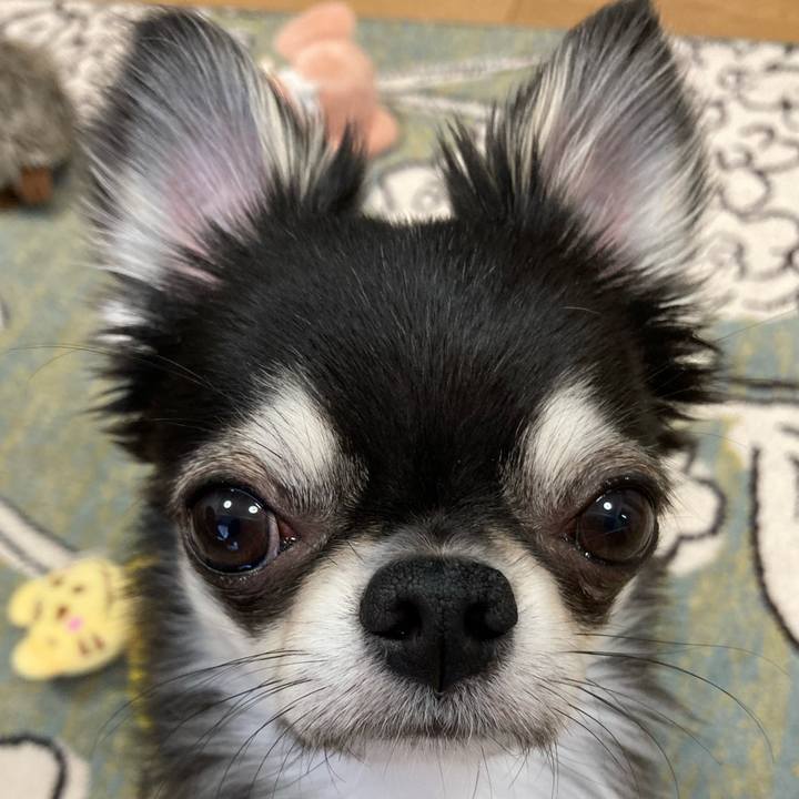 0ae0d3a5 8678 4d5b 9a16 c74bf88c4ed2 1620430185052