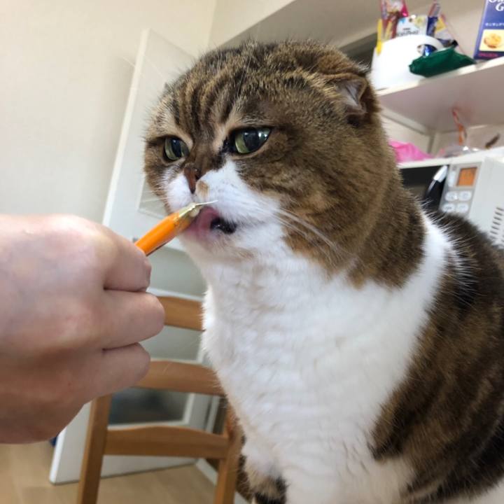 0ae0ef36 4a6e 470c a6ba 506bbd11af07 1557026480691