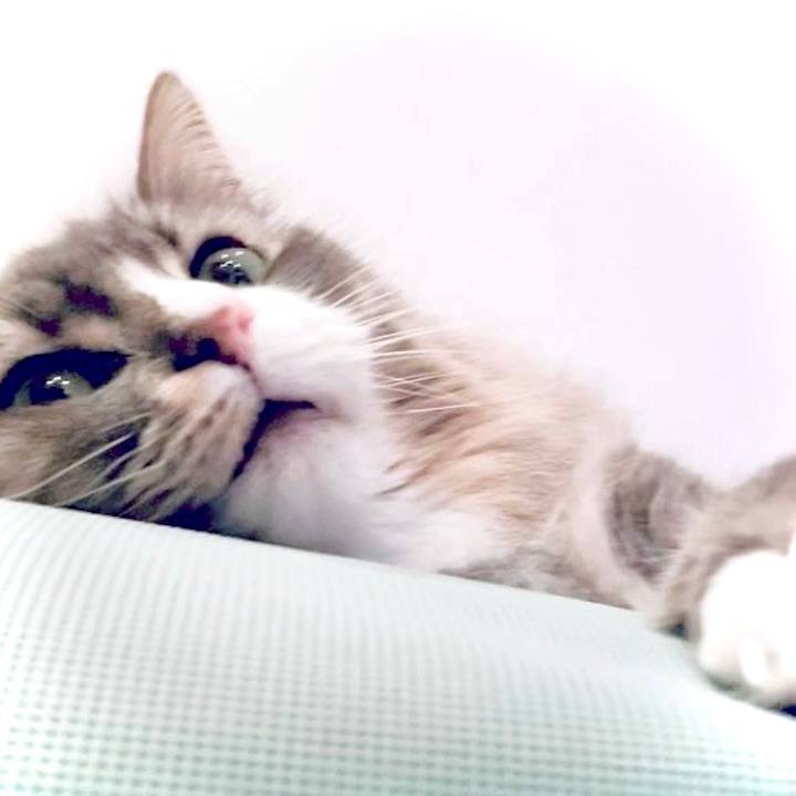 0ae10537 be2d 4e02 8133 903041107333 1628010733360