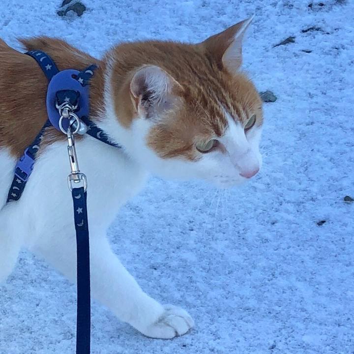 0ae130e9 f143 4fe2 a0b4 2eac2bdb8aa1 1546132587875