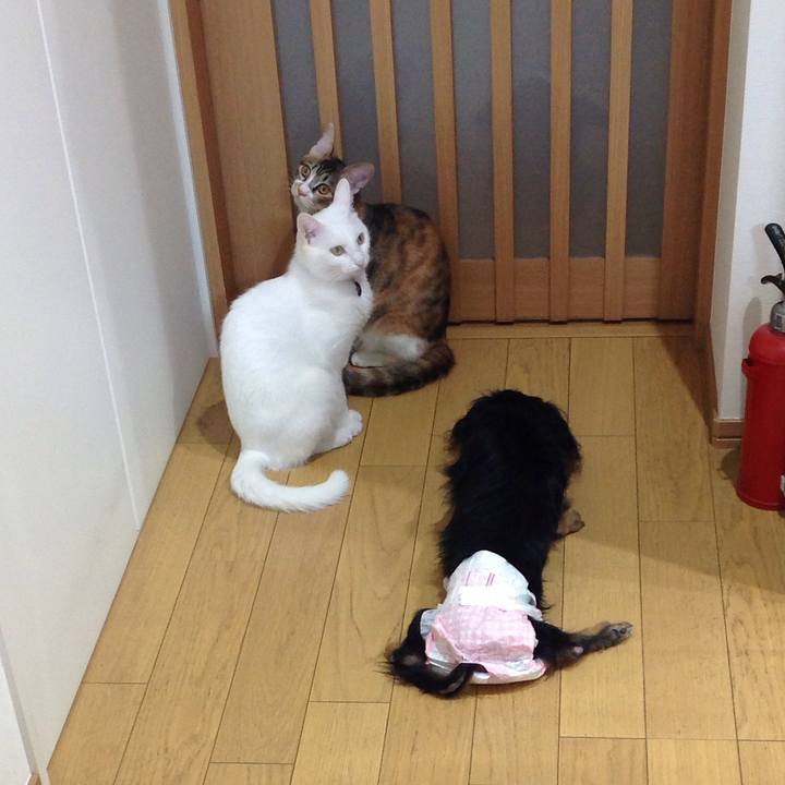 0ae1687f f55b 4edc a56d 6ebc2e0f0c8d 1638666390379