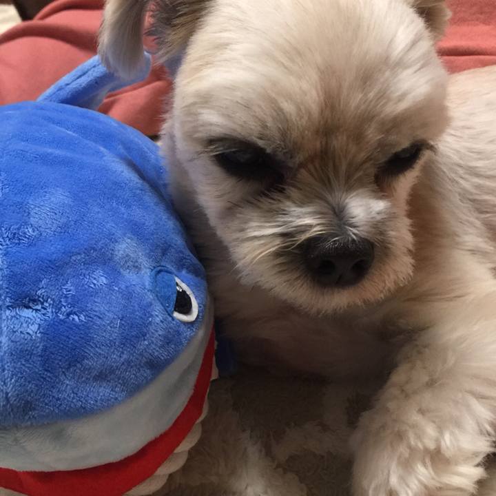 0ae1c47d f8ee 4cd3 ada9 9a65ec107ef5 1544267631624