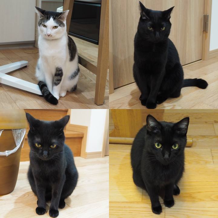 0ae226b3 fd70 40b4 8996 e8156150a495 1540994175483