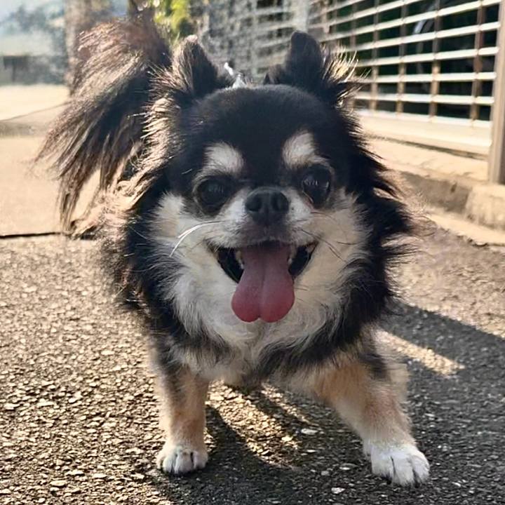 0ae24dea 475f 4218 94e9 8acf44e31355 1756673944569