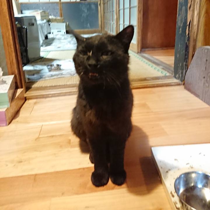 0ae25fdb 138a 4fc1 9422 f7ec69ce9183 1623756334392