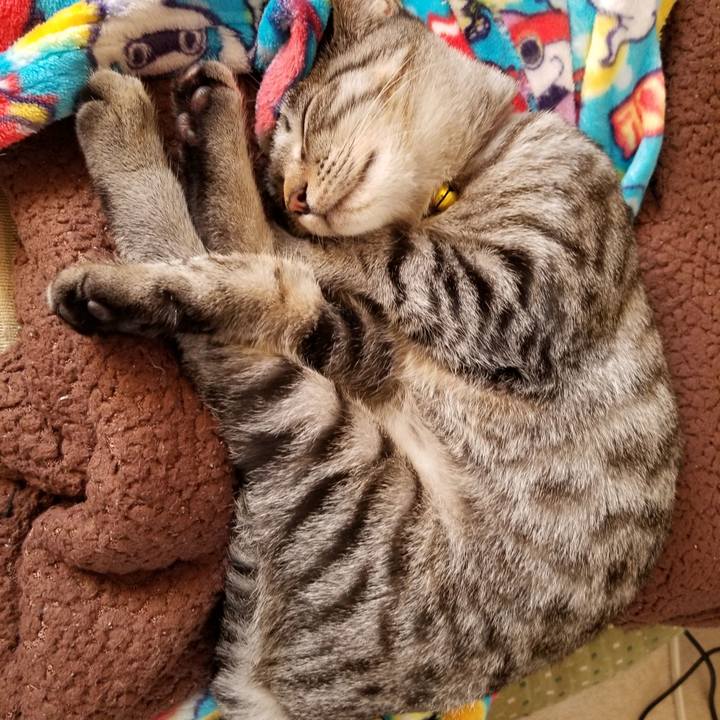 0ae2a145 8eb9 4d0b a955 24e63a8b7292 1669527151716