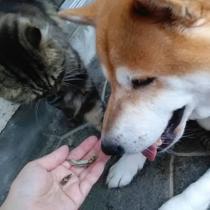 0ae2ced2 6d0d 4ce5 b5bd 879fa7612a32 1629336735644