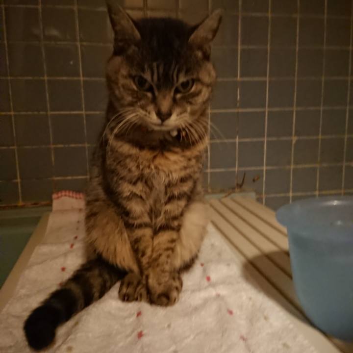 0ae2d73a a795 403c 8321 2e080dd0e155 1584610564353