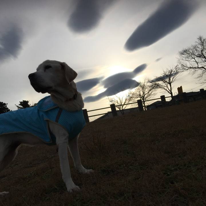 0ae2ff58 7c30 4ef2 a770 5d0acc4385d4 1545113519446