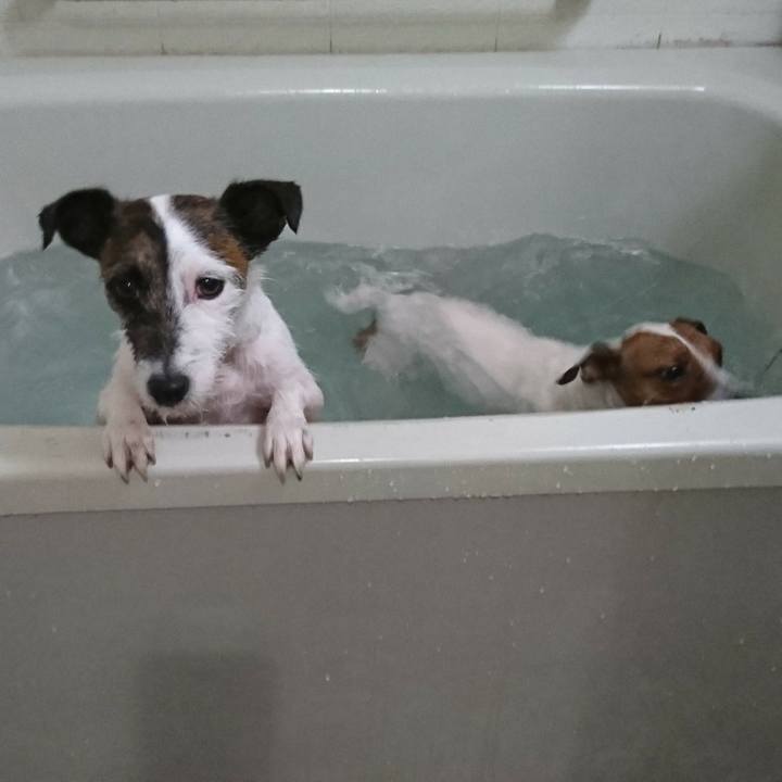 0ae3114b b01e 4f3d a1ea d71bc6d4ab38 1552430719877